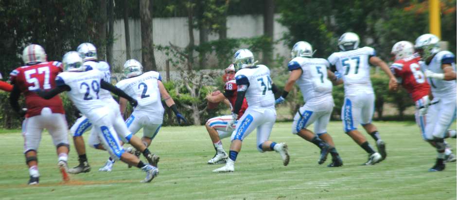 Halcones Se Presenta En Casa Halcones Uv Football Americano