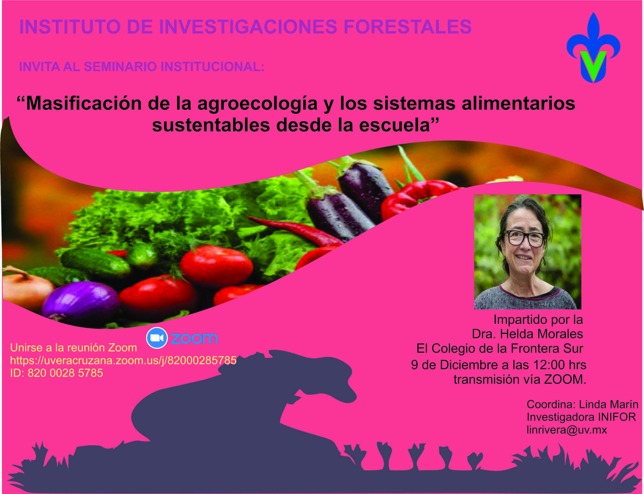 Masificaci N De La Agroecolog A Y Los Sistemas Alimentarios