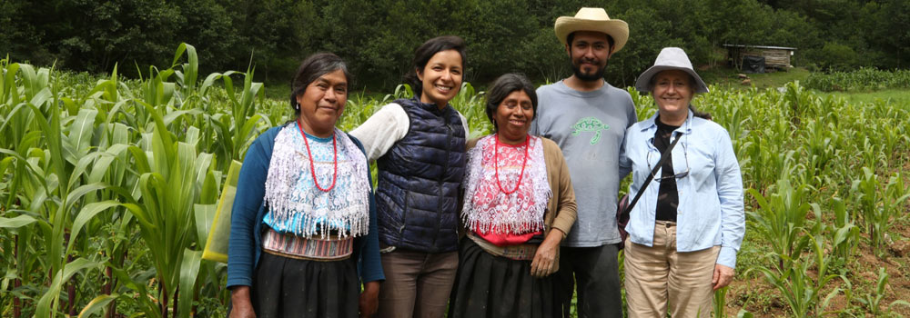 Posgrados Del Citro Dan Valor A Los Conocimientos De Pueblos Ind Genas