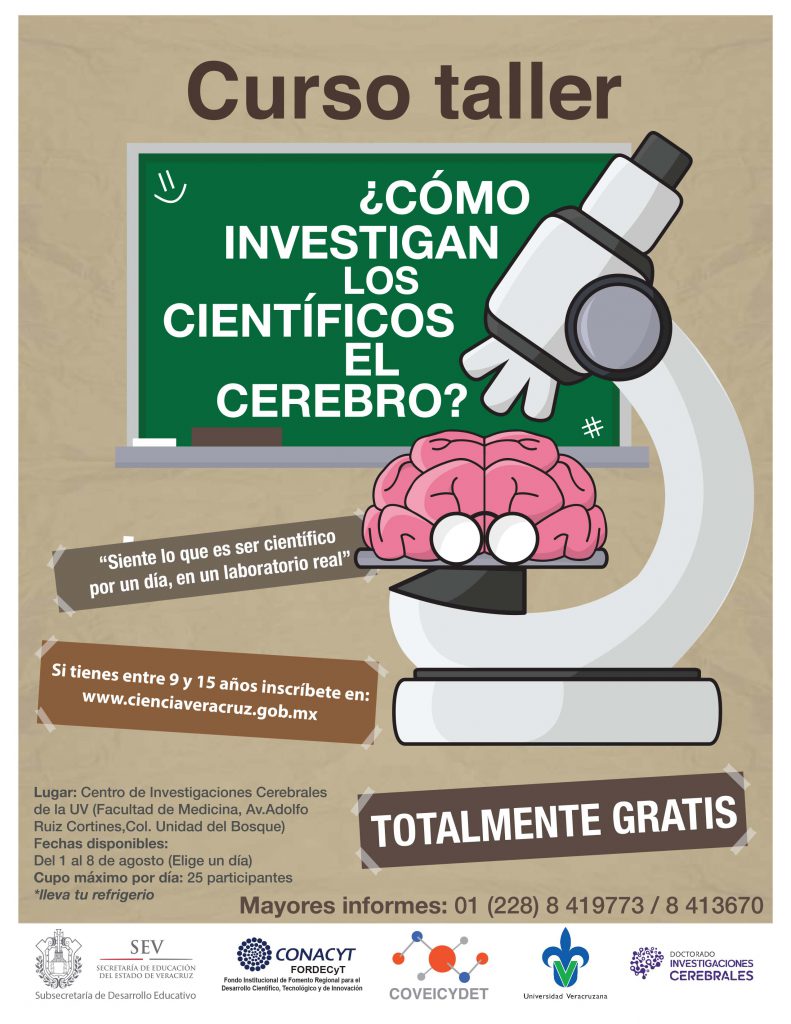 carta cerebro final 03