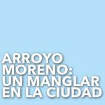 Imagen ARROYO MORENO: UN MANGLAR EN LA CIUDAD
