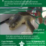 Imagen Taller de buenas prácticas para ayudar y conservar a las tortugas marinas en el Parque Nacional Sistema Arrecifal Veracruzano.