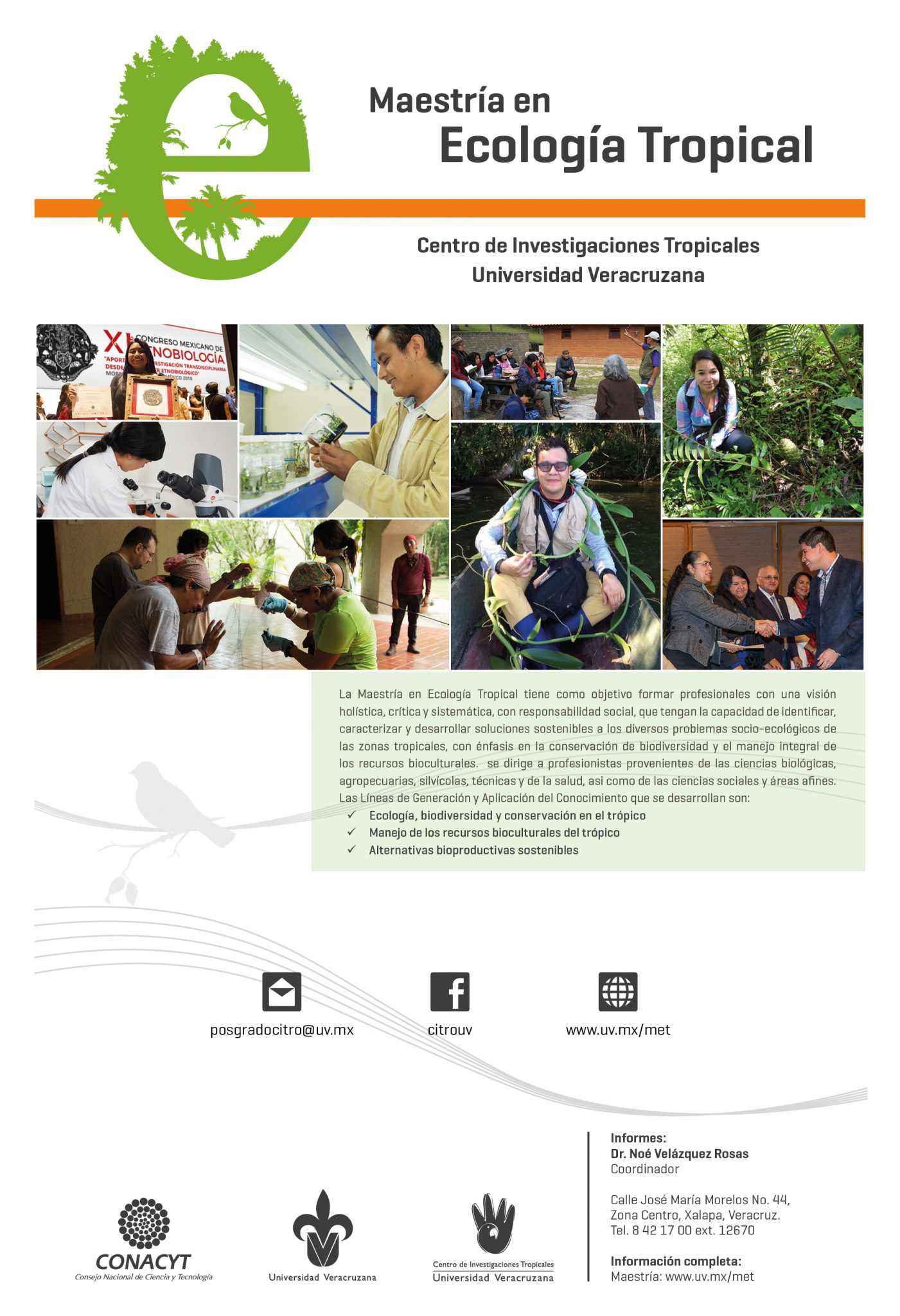 Convocatoria Abierta A La Maestría En Ecología Tropical 2020 – Centro