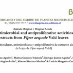 Imagen Artículo de Piper aequale publicado por Óscar Sánchez, Leticia Cano e investigadores de la UV, Bolivia y Ecuador en BLACPMA