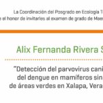 Imagen Invitación al examen de grado de Maestría en Ecología Tropical de Alix Fernanda Rivera Sánchez