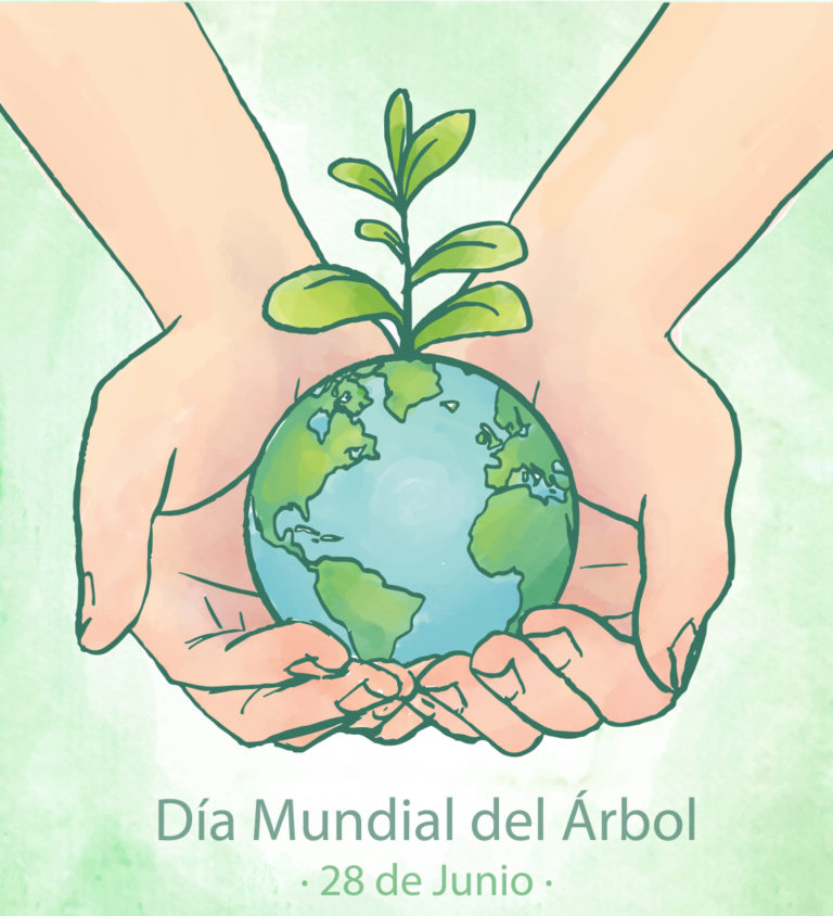 Domingo 28 Día mundial del Árbol Coordinación Regional para la