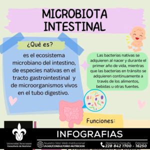 Imagen Microbiota Intestinal