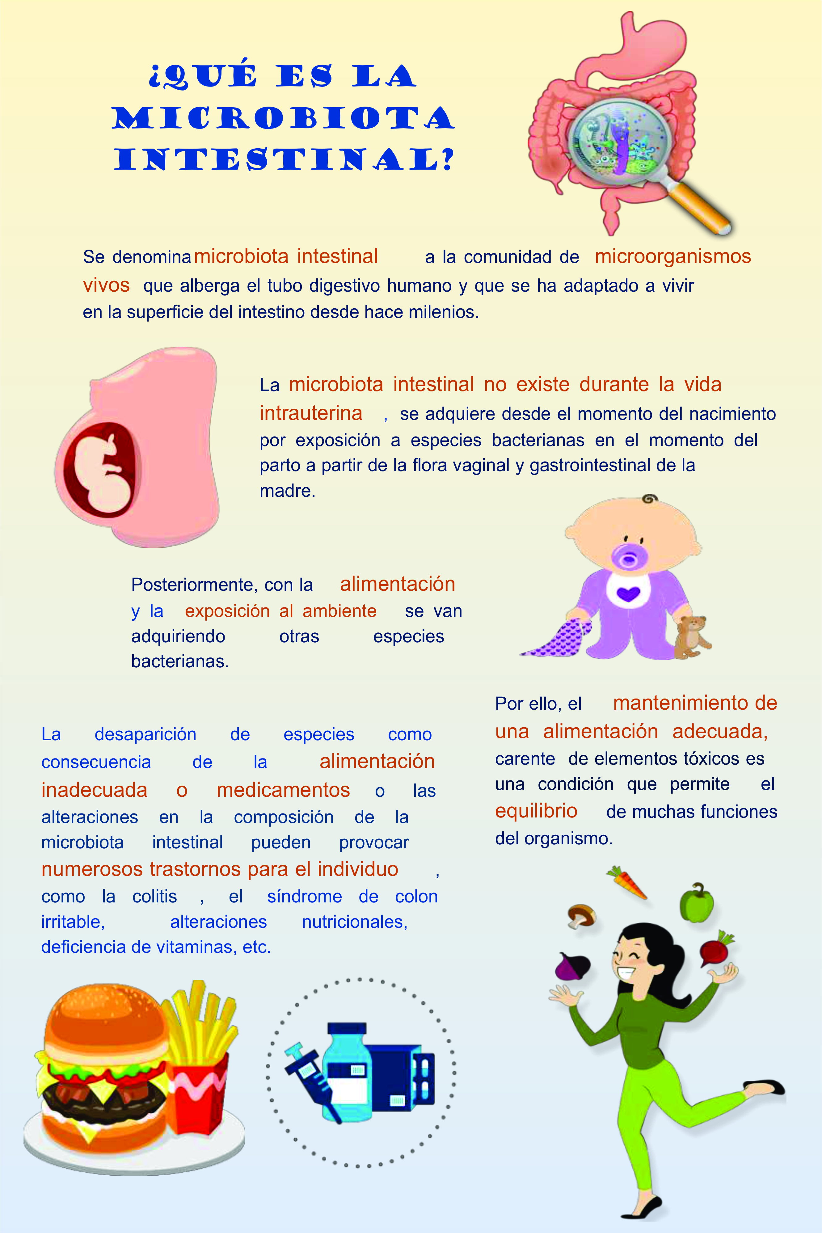 Infografía Microbiota Intestinal Clínica Universitaria De Salud Reproductiva Y Sexual 6953