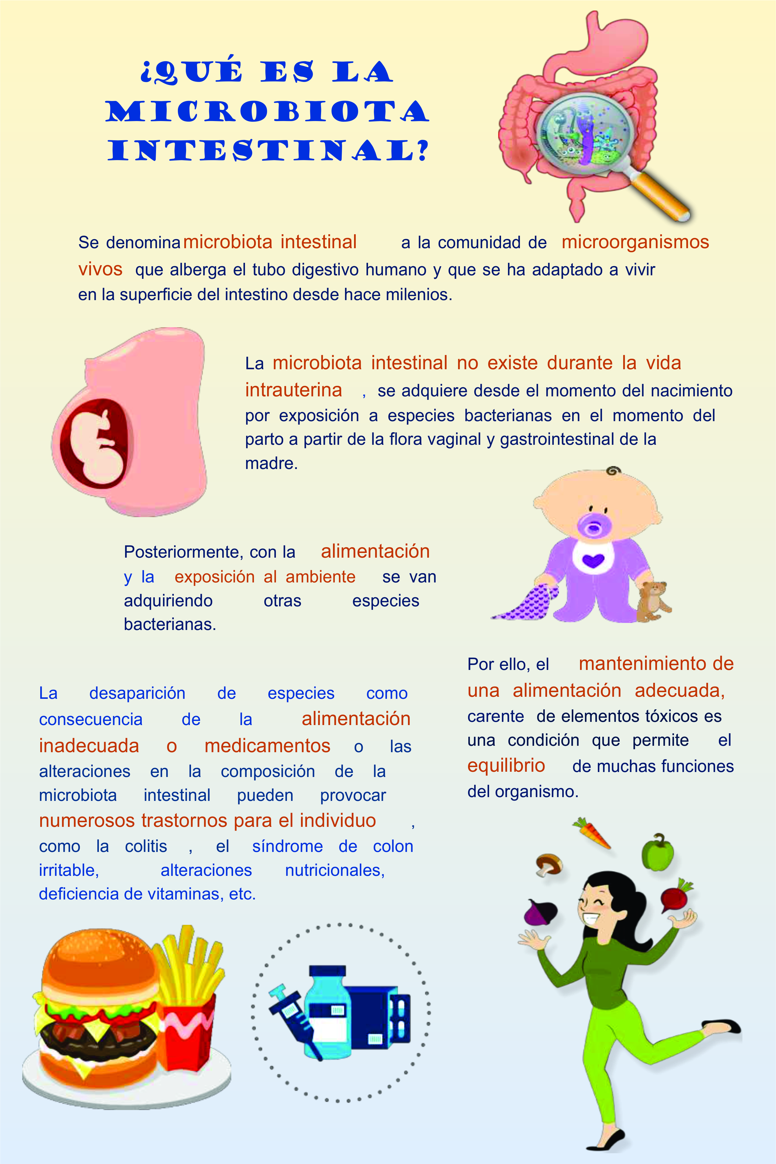 Infograf A Microbiota Intestinal Cl Nica Universitaria De Salud