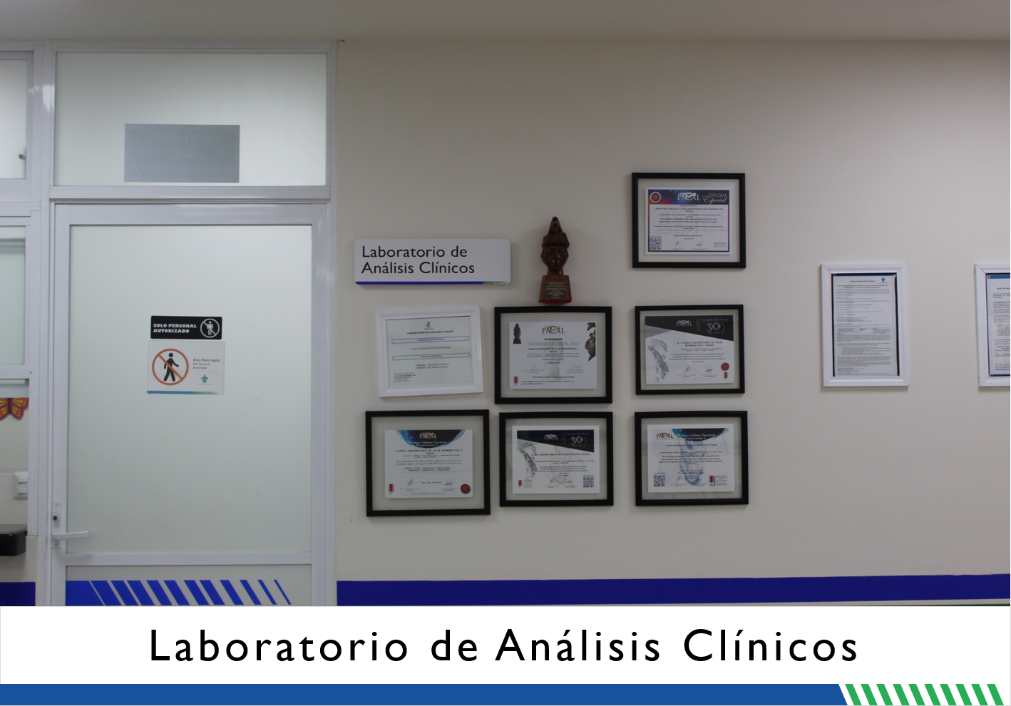 Laboratorio De Análisis Clínicos Clínica Universitaria De Salud Reproductiva Y Sexual 4489