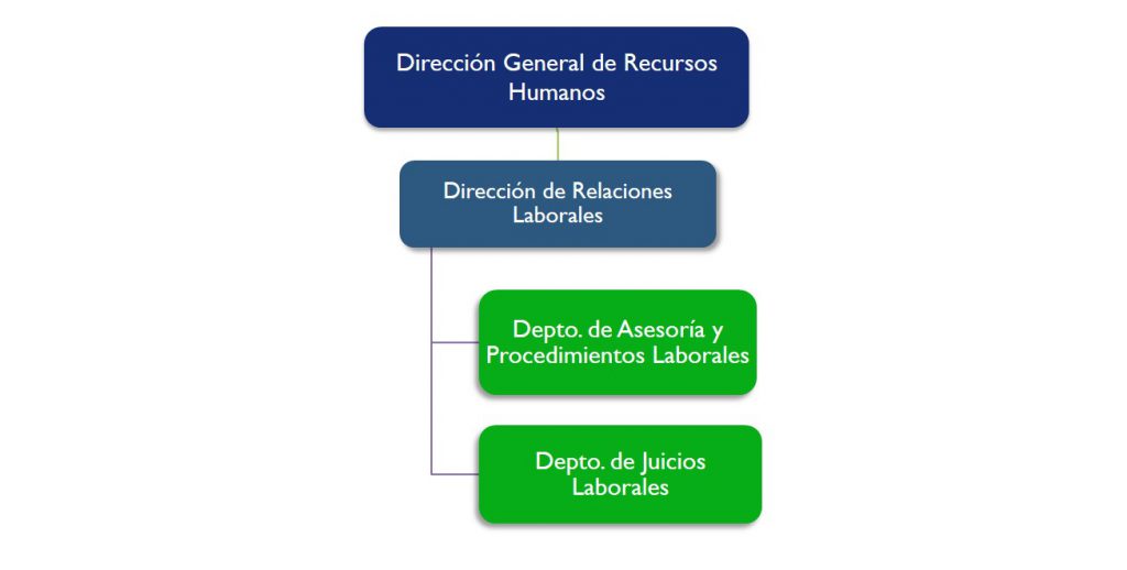 Estructura Organizacional Dirección General De Recursos Humanos