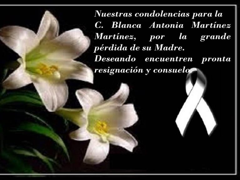 Condolencias Facultad De Economía Xalapa