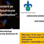 Imagen PEAN: Conferencia – Glutamate Transporters as Regulators of Oligodendrocyte Differentiation and Myelination