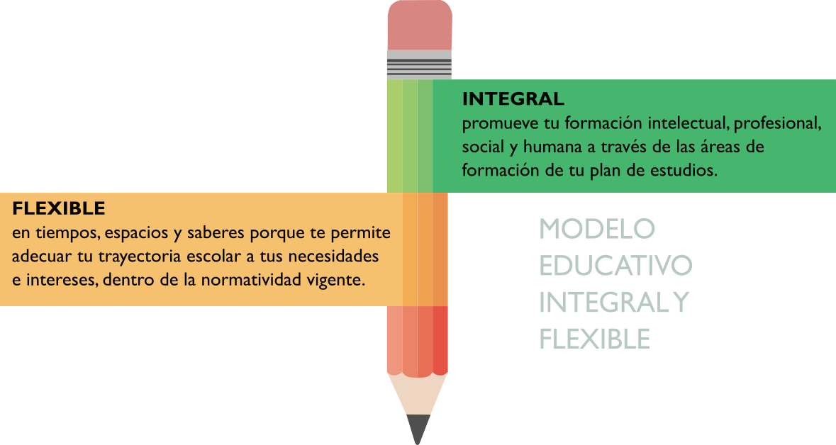 ¿Qué Es El MEIF? – Portal De Estudiantes