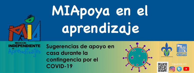 Proyecto de capacitación en competencias digitales MIA – Instituto de  Investigaciones en Educación