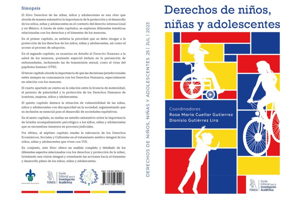 Libros De La Maestría En Derechos Humanos Y Justicia Constitucional Maestría En Derechos 3708