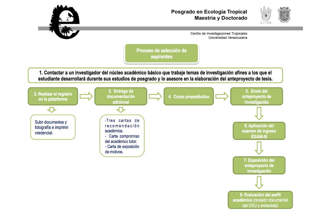 Proceso De Selección De Aspirantes – Doctorado En Ecología Tropical