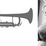 Imagen Curso de trompeta con invitación a estudiantes de boquilla circular