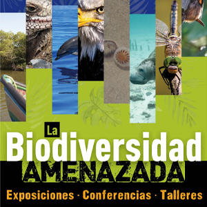 IIB-UV Realizará Exposición La Biodiversidad Amenazada – Universo ...