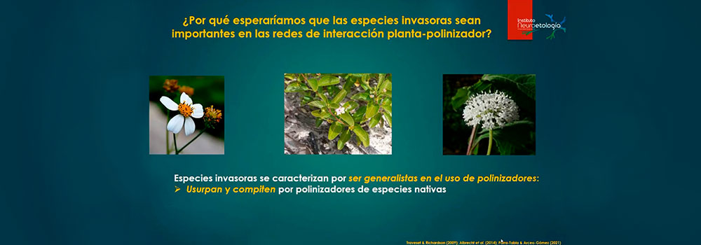 Especies Vegetales Invasoras Causan Pérdida De Biodiversidad – Universo ...