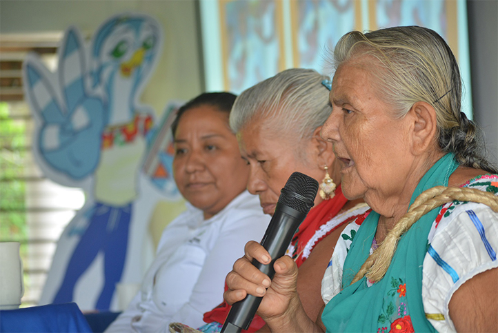 La UV-Intercultural fomenta el intercambio de saberes entre nanas y parteras, en la Huasteca y el Totonacapan 