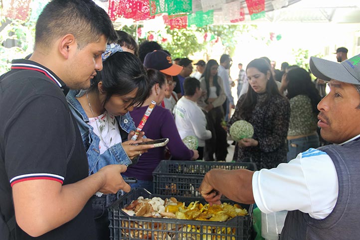 Estudiantes UV intercambiaron conocimientos y saberes con productores de hongos de la región montañosa de Veracruz 