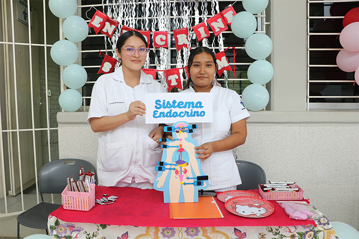 Alumnas de la Facultad de Enfermería en la exhibición “The body systems” 