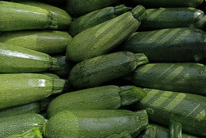 Los alumnos esperan que la producción final de calabacitas sea de una tonelada 