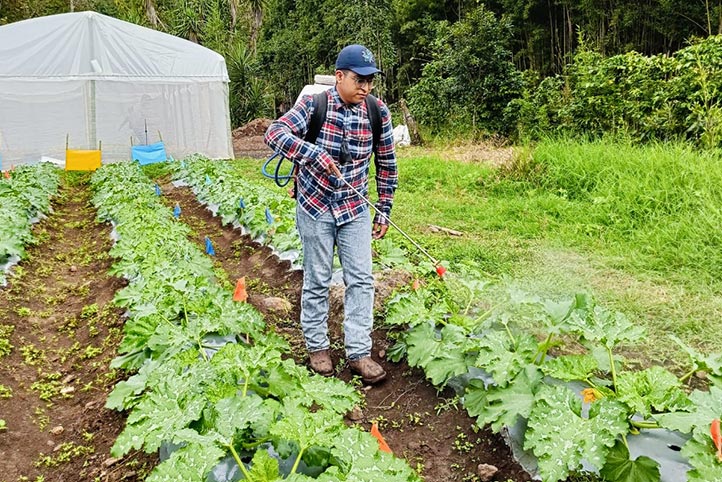 Los jóvenes llevan a cabo acciones diarias de mantenimiento  