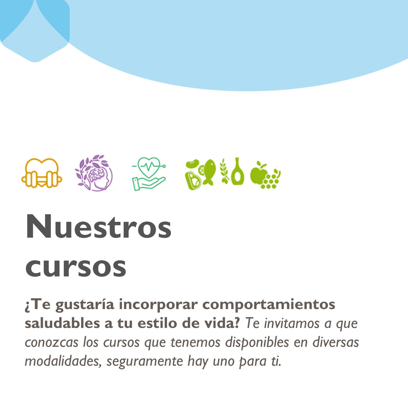 Imagen Nuestros Cursos