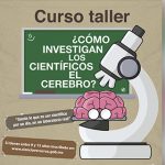 Imagen ¿Cómo investigan los científicos el cerebro?