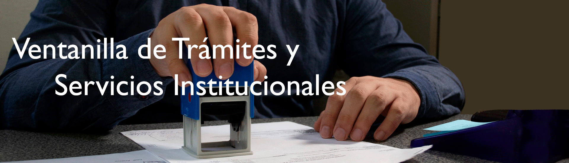 Banner de bienvenida al portal de Trámites y Servicios Institucionales