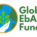 Imagen Fondo Global EbA