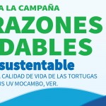 Imagen Arranca la campaña «Caparazones Saludables»